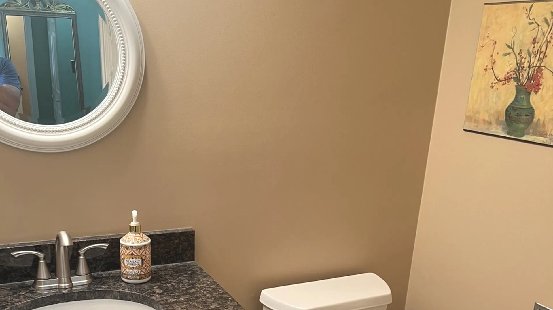 1038 Liskeard Court IL