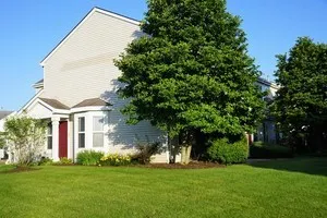 3616 Forest view Drive 3616 IL