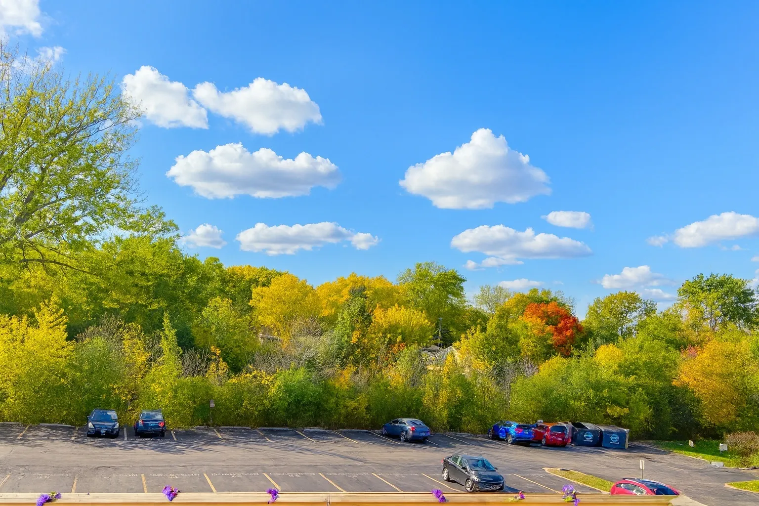 1870 Tall Oaks Drive 3104 IL