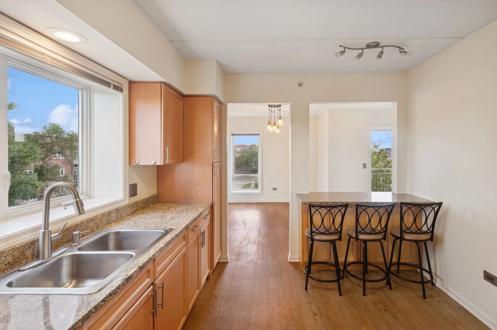 501 ALLES Street 501A IL