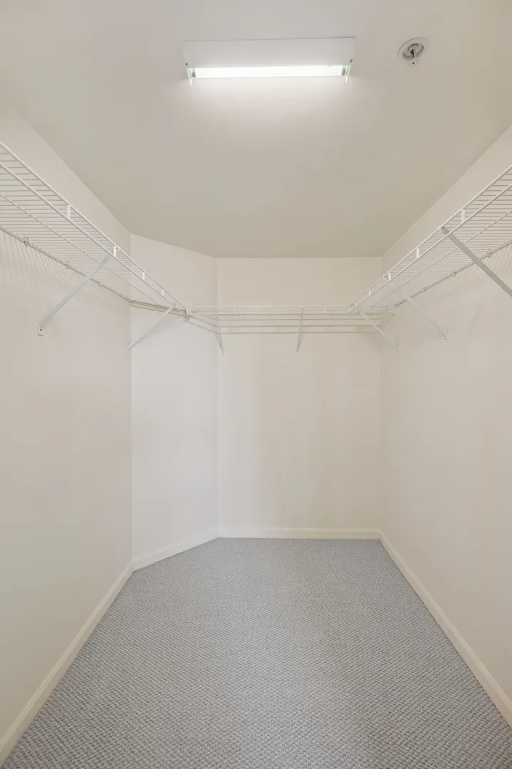 501 ALLES Street 501A IL