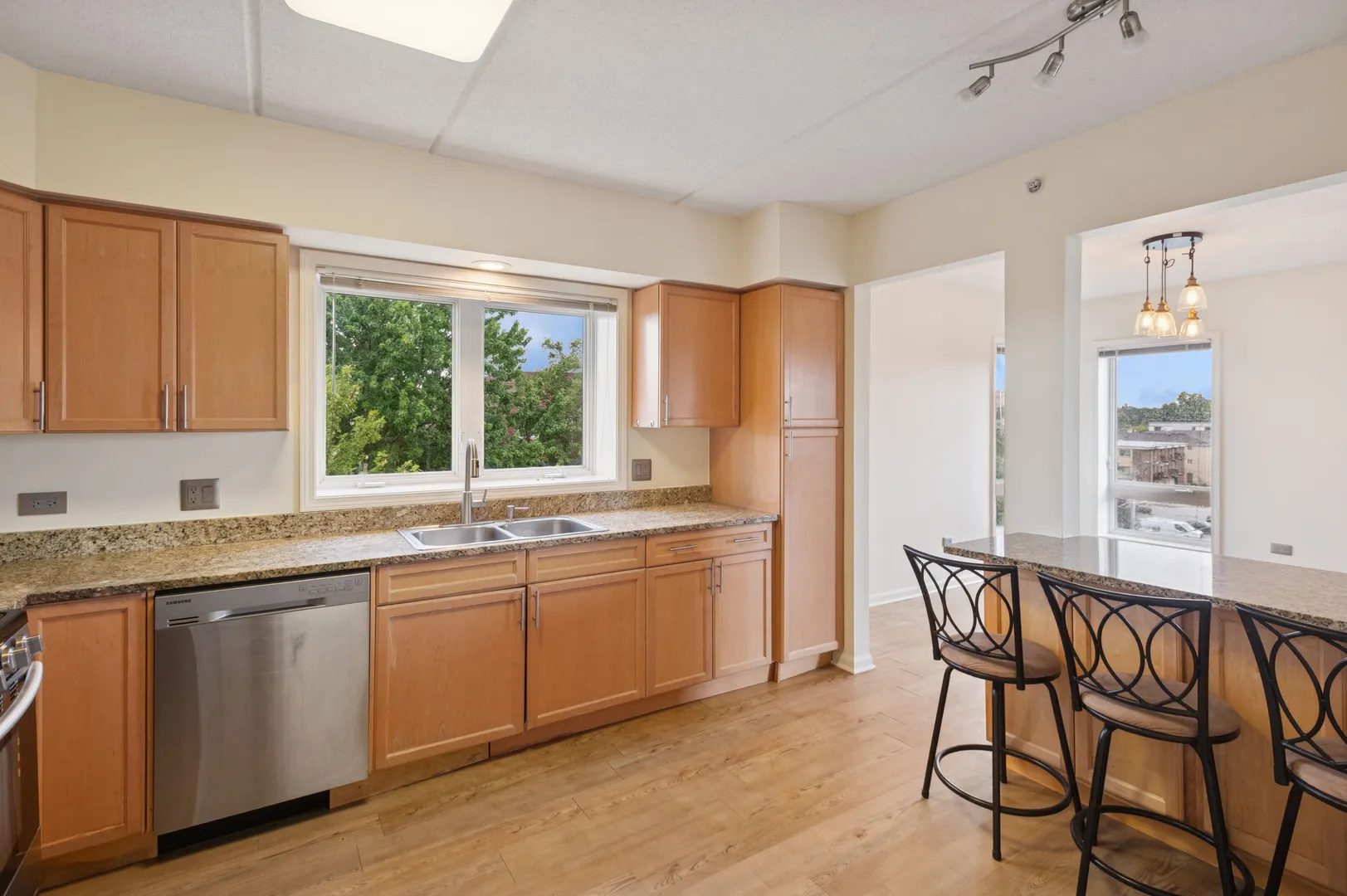 501 ALLES Street 501A IL