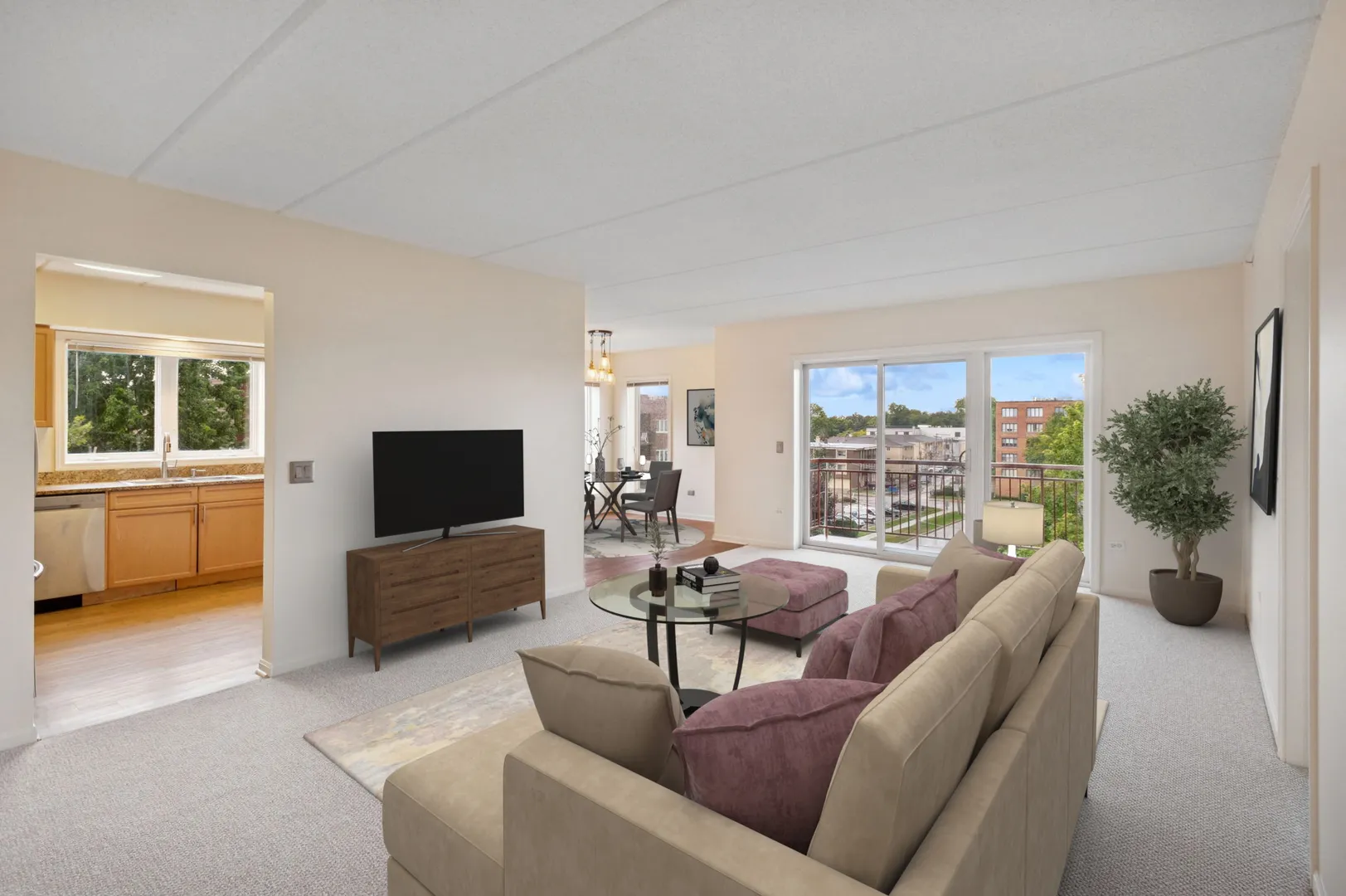 501 ALLES Street 501A IL