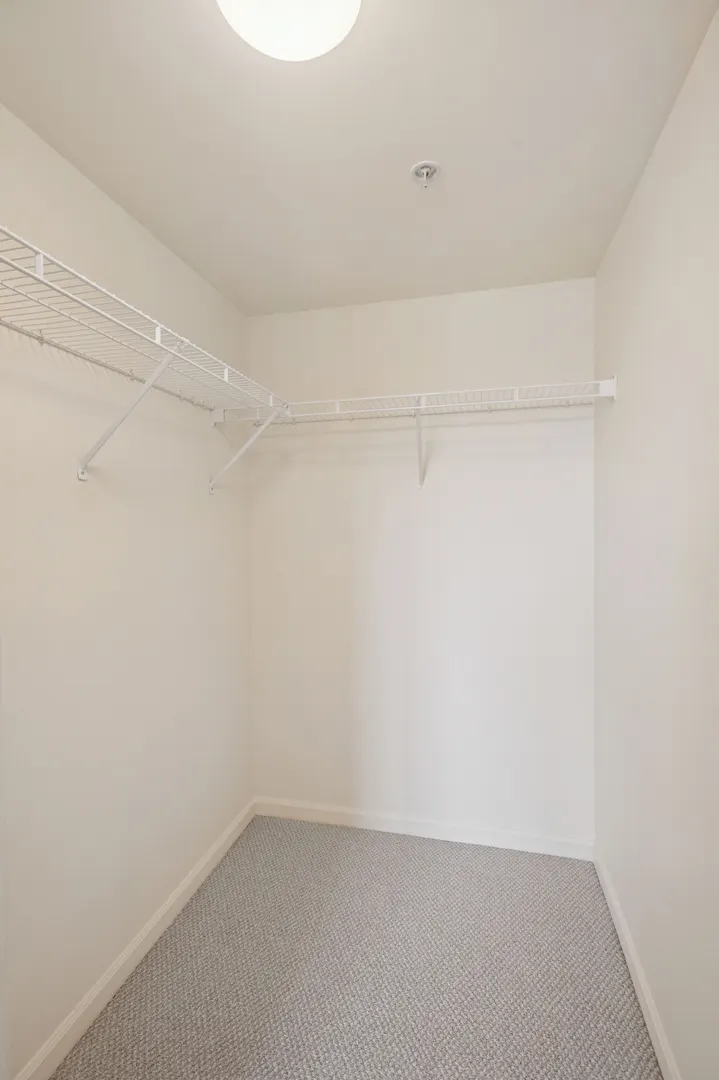 501 ALLES Street 501A IL