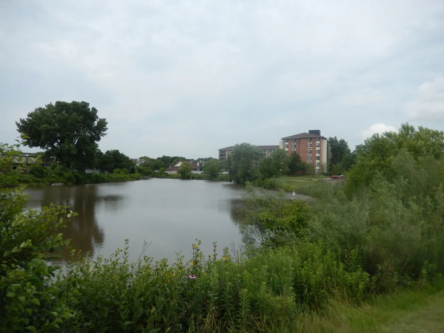 75 Kristin Circle 516 IL