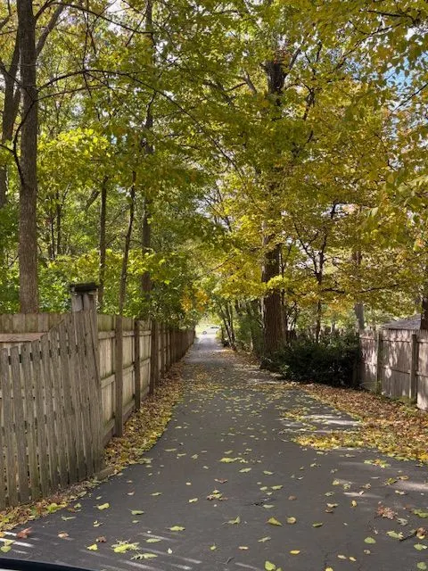 15539 S Gougar Road IL