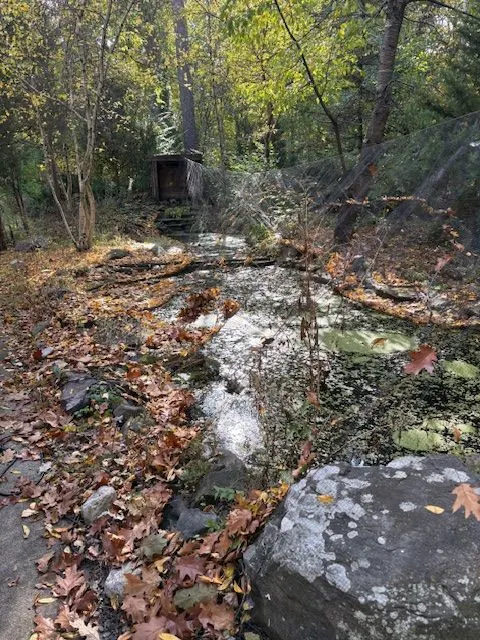 15539 S Gougar Road IL