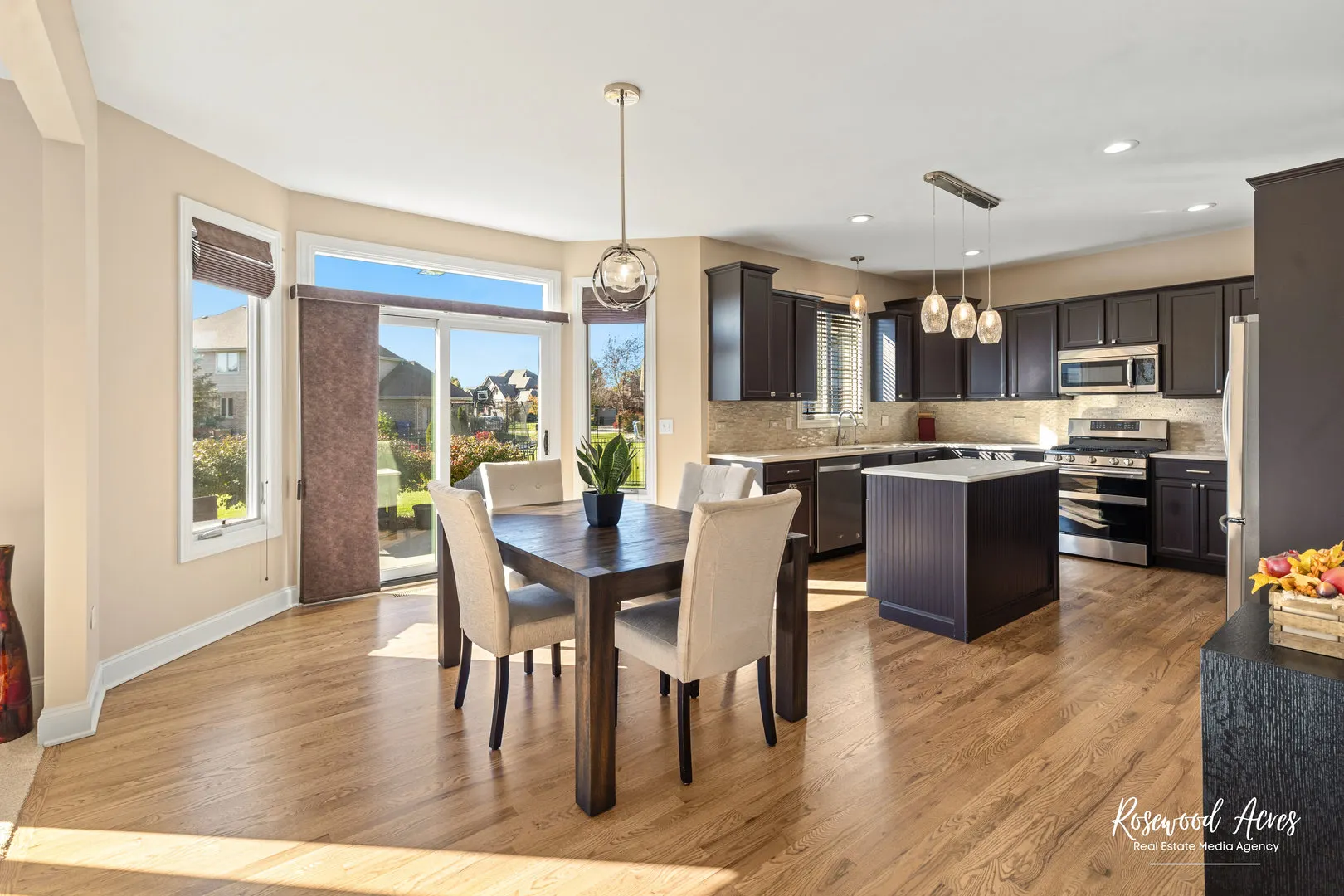 11453 Falls View Way IL