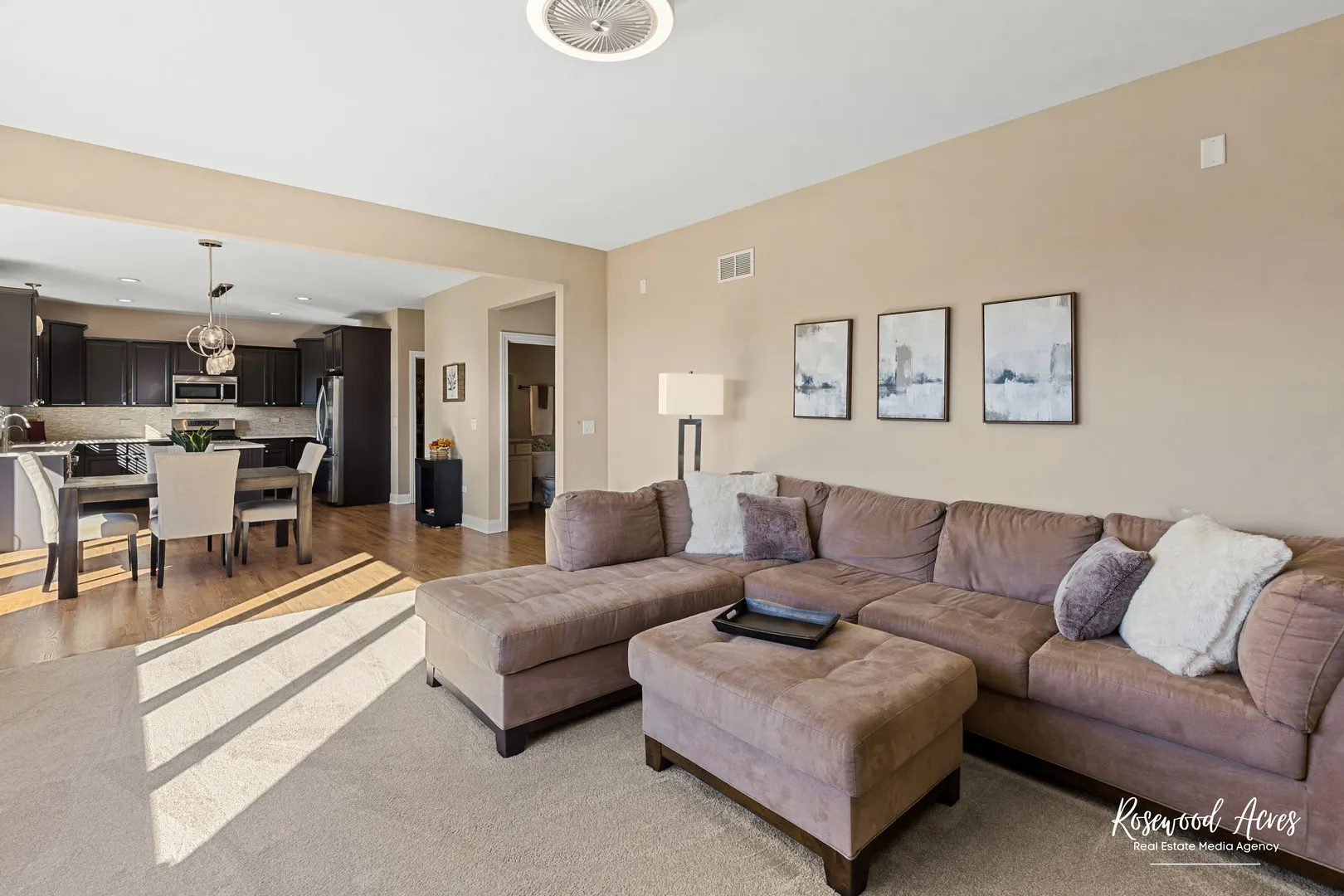 11453 Falls View Way IL