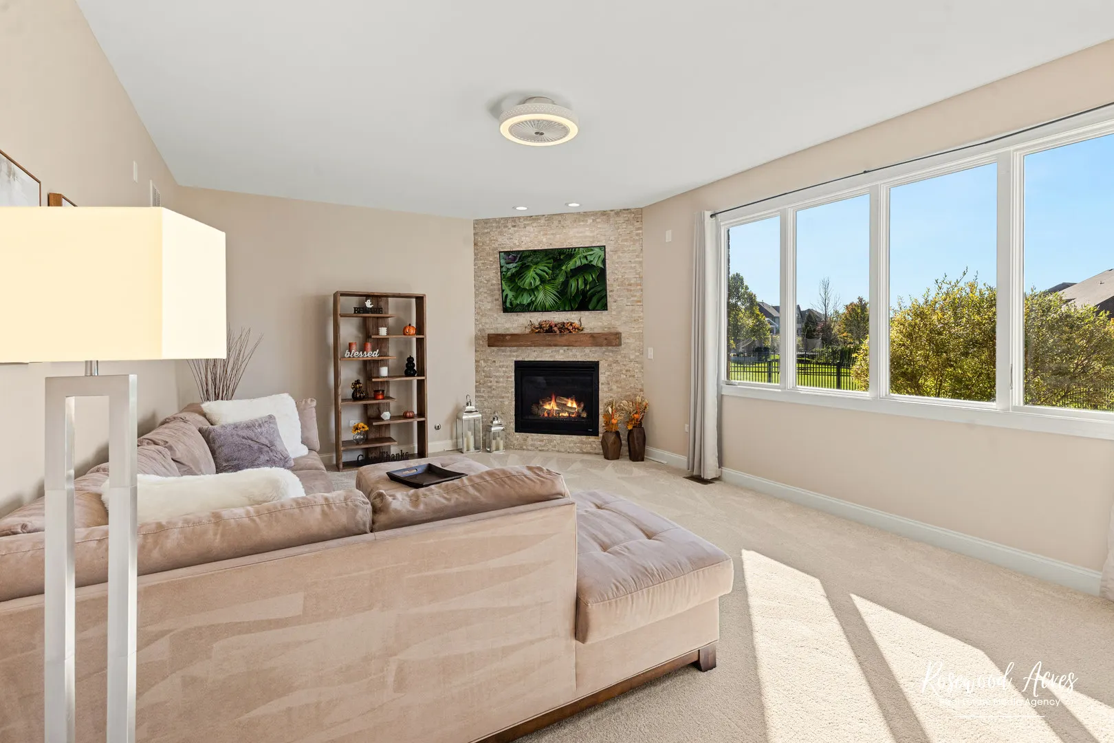 11453 Falls View Way IL