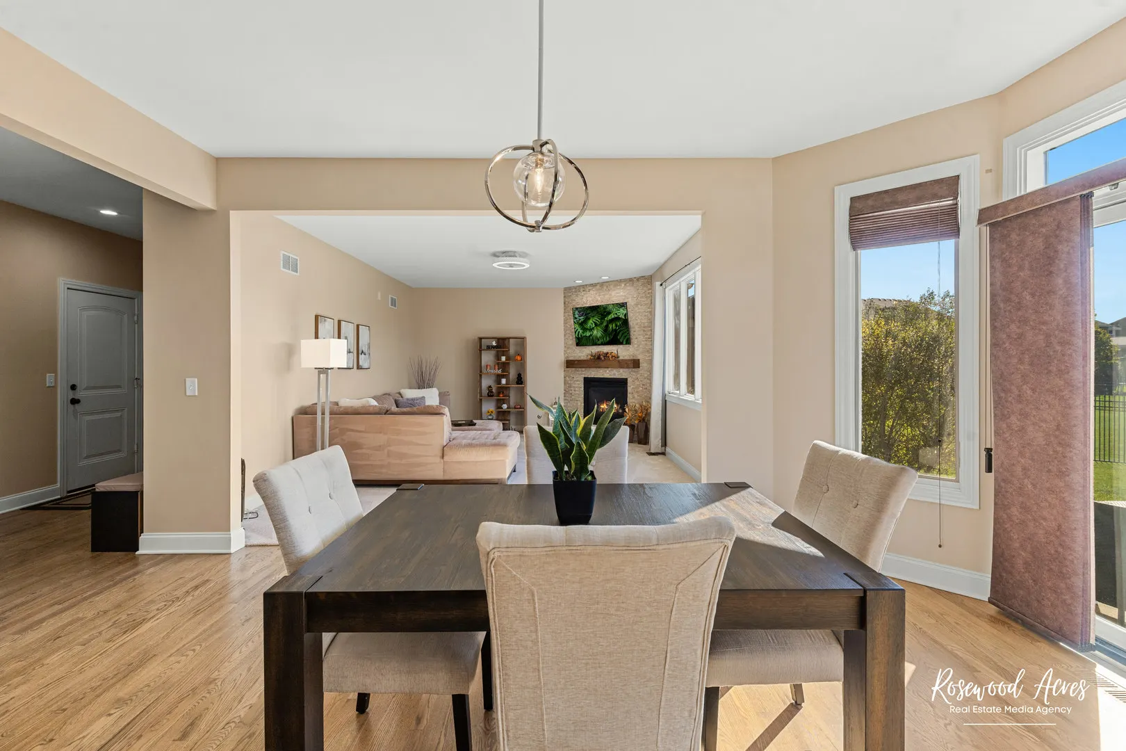 11453 Falls View Way IL