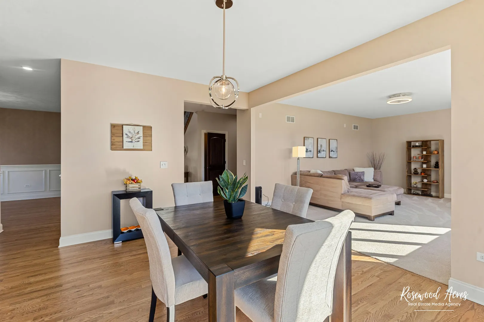 11453 Falls View Way IL