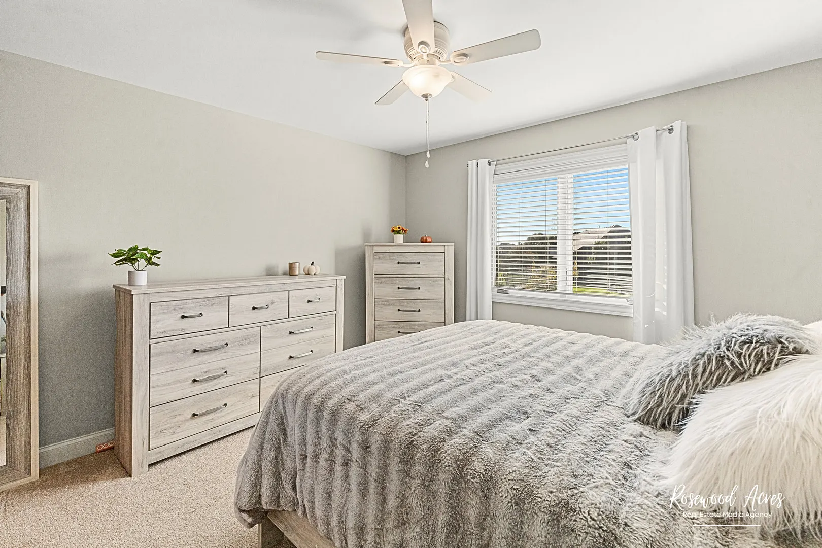 11453 Falls View Way IL