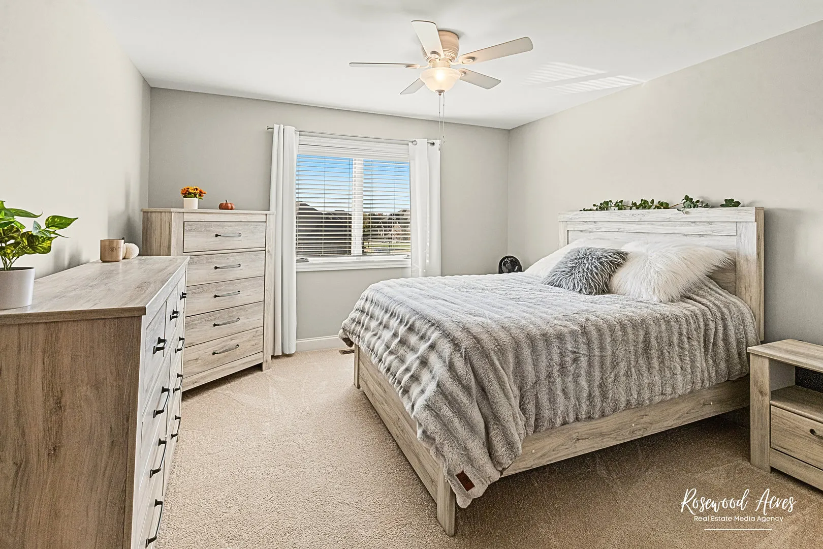 11453 Falls View Way IL