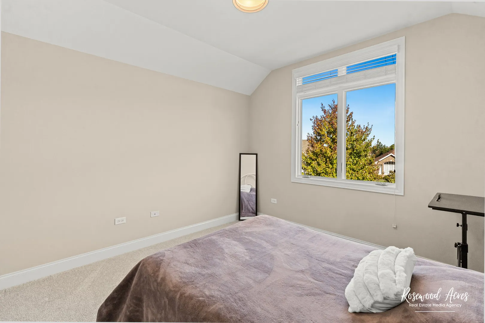 11453 Falls View Way IL