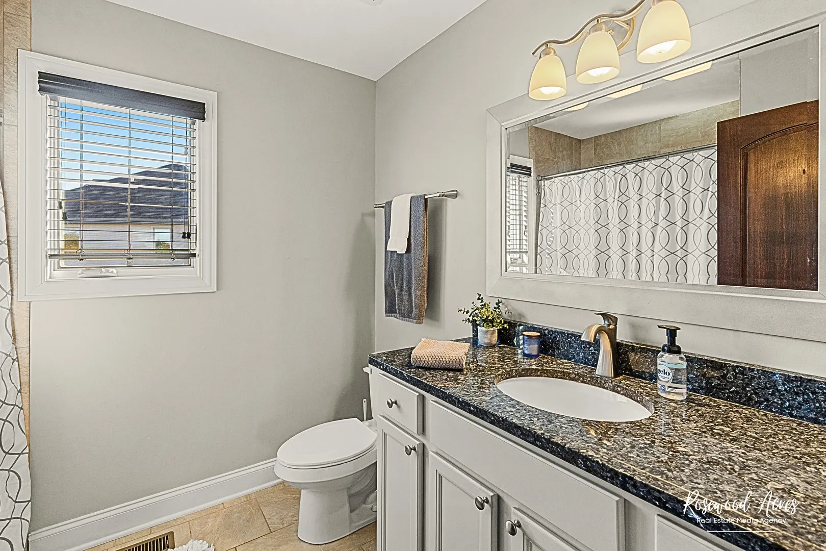 11453 Falls View Way IL