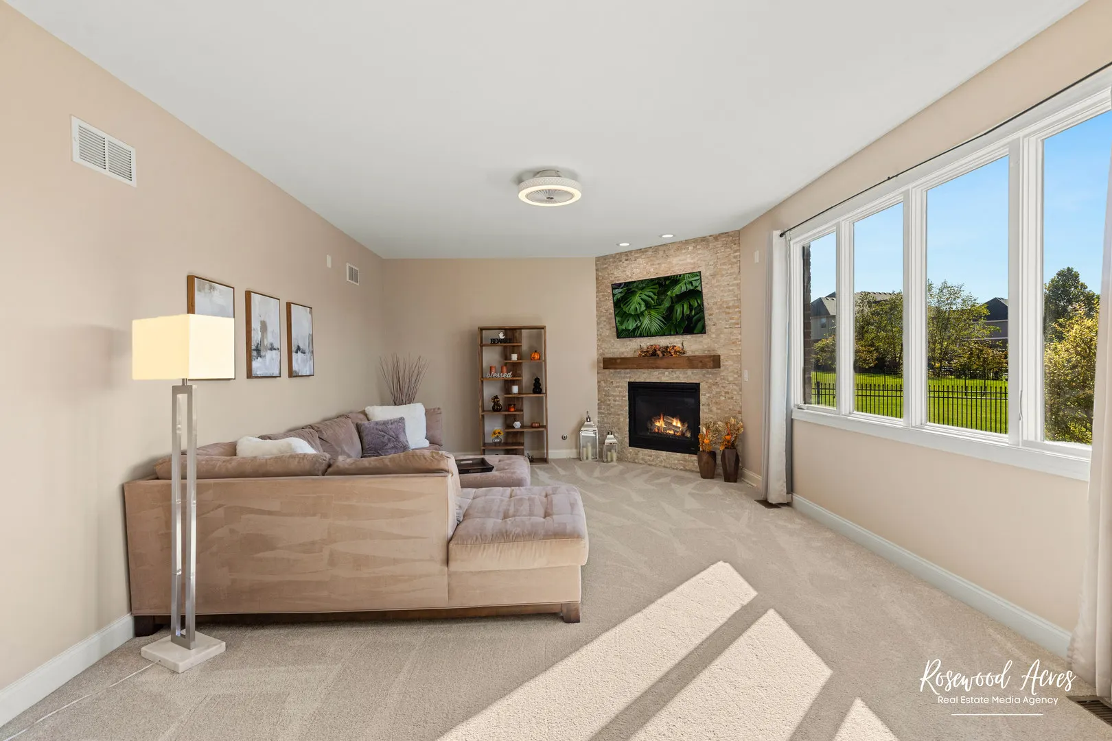 11453 Falls View Way IL