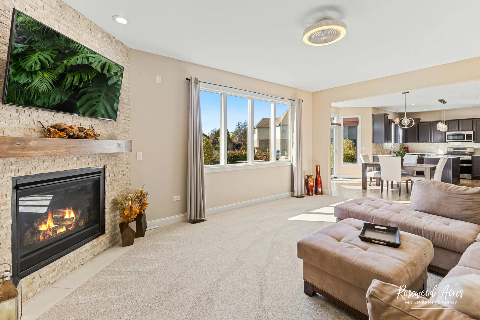 11453 Falls View Way IL