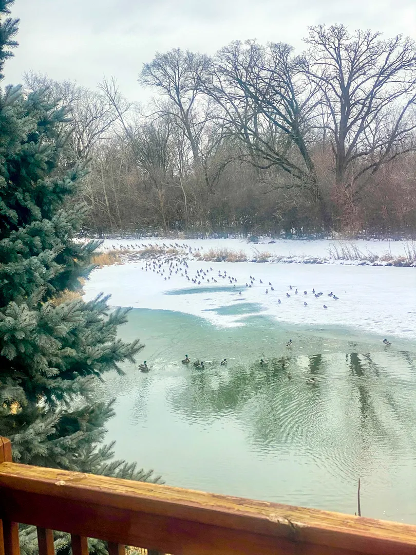 2249 Hudson Circle IL