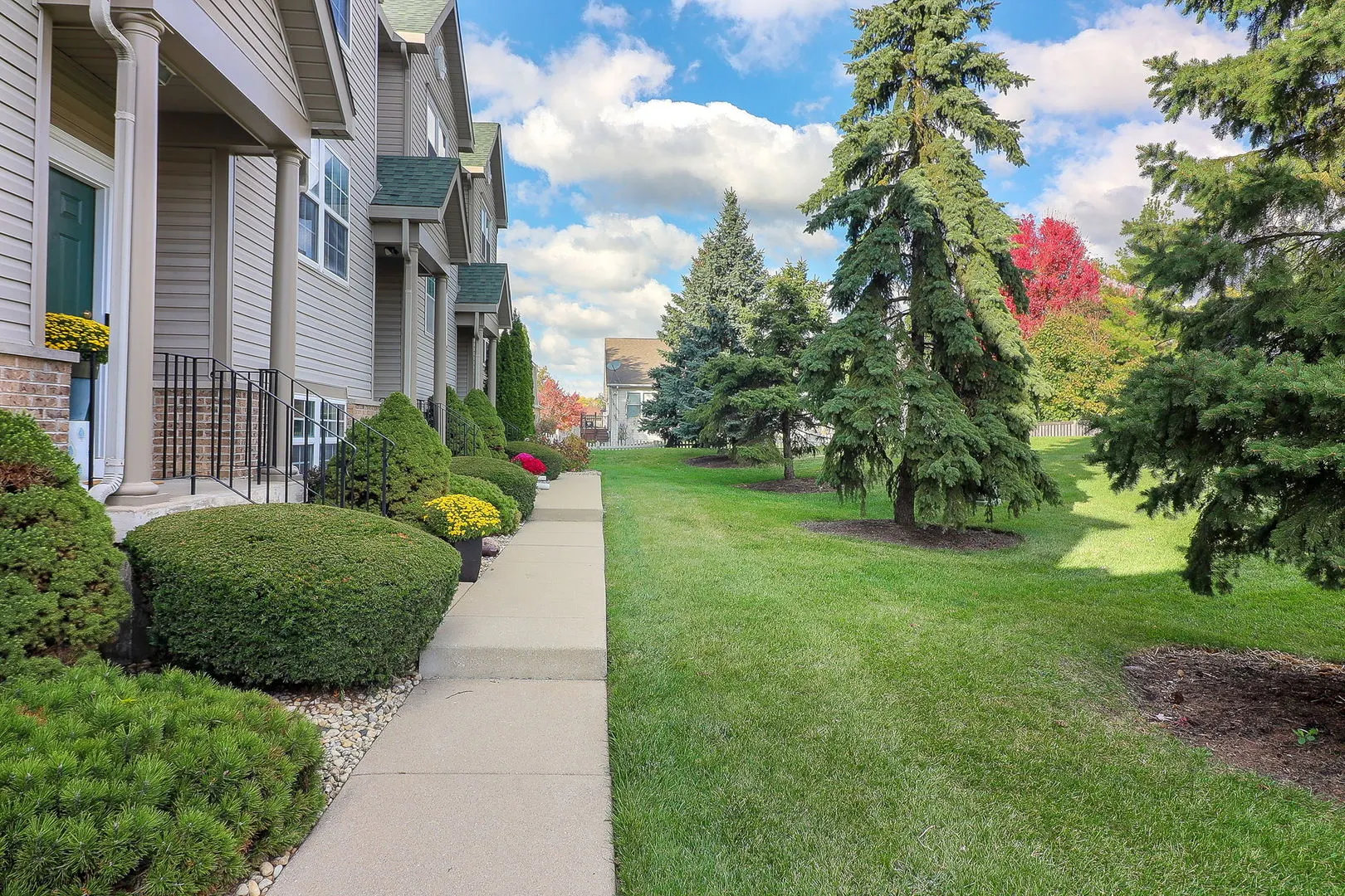 1914 S Austrian Pine Street IL