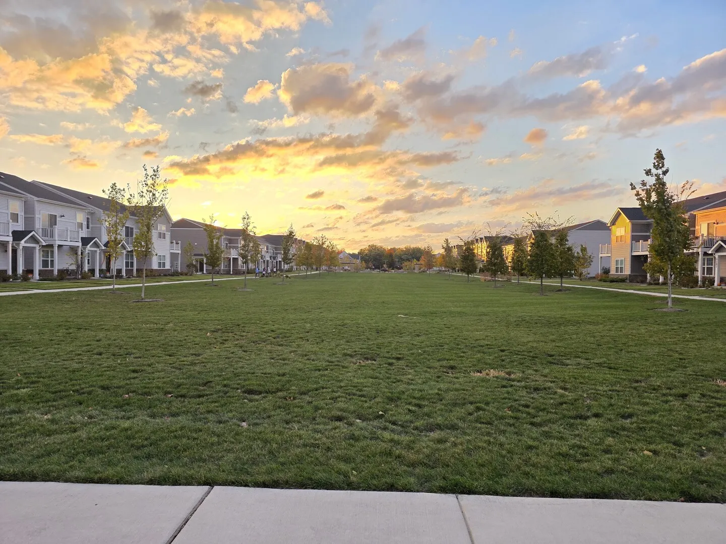 4219 Chelsea Manor Circle E IL