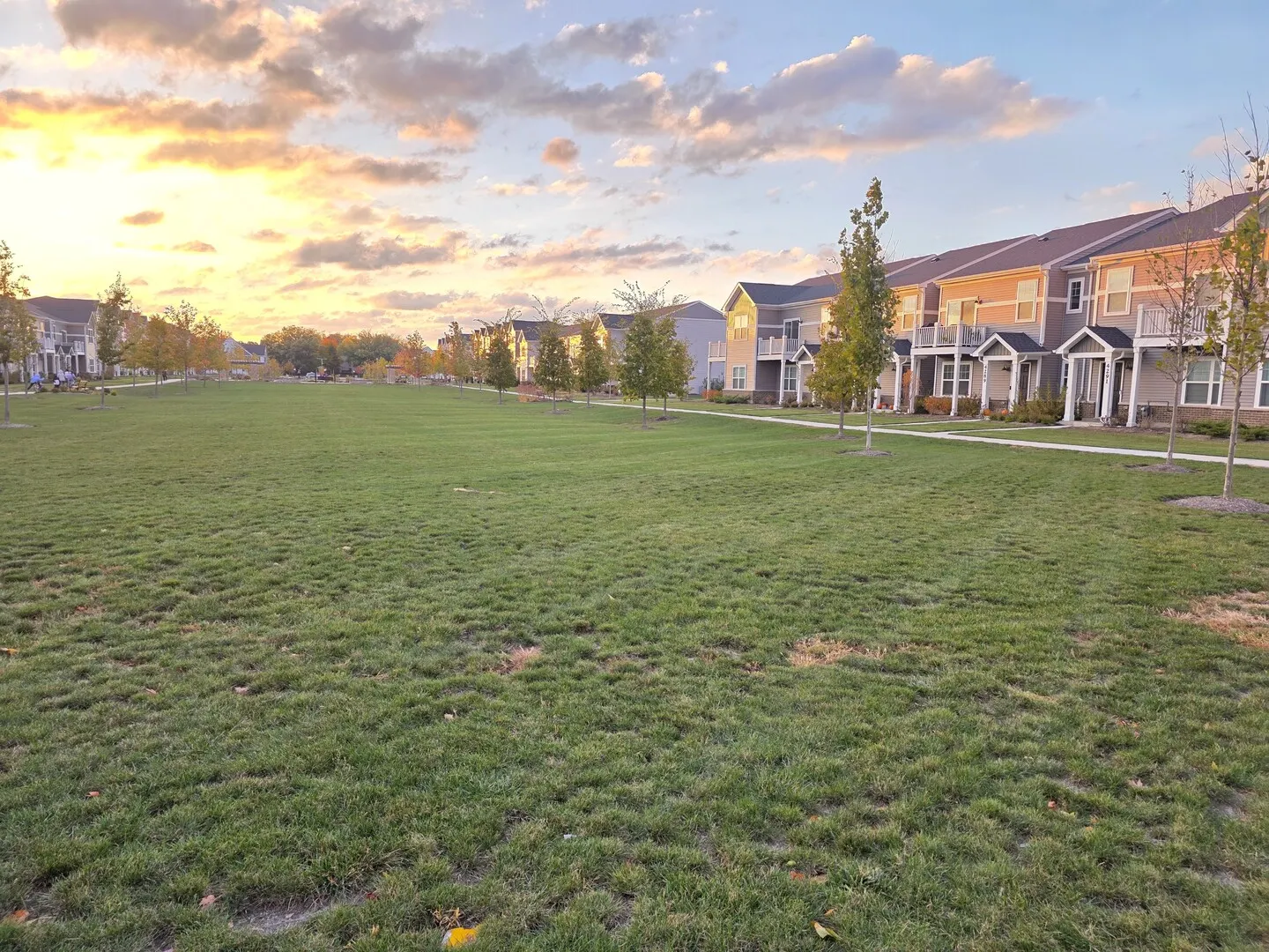 4219 Chelsea Manor Circle E IL