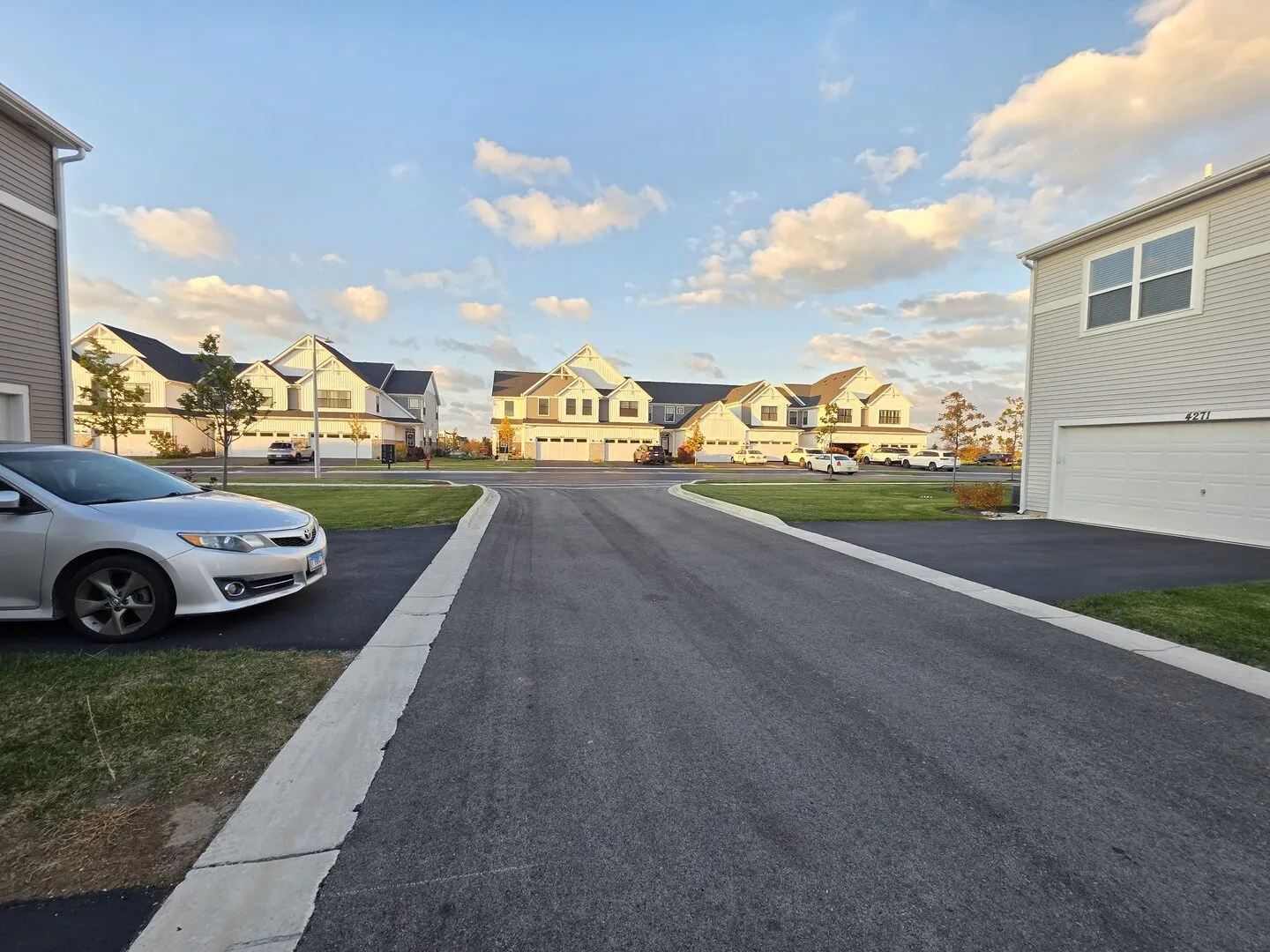 4219 Chelsea Manor Circle E IL