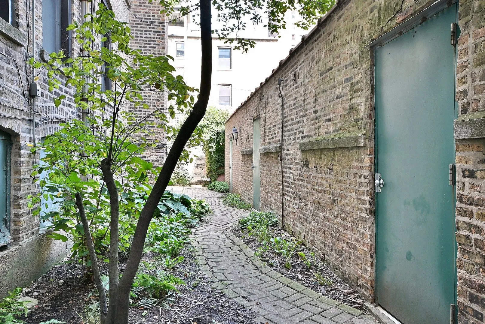 5445 N KENMORE Avenue 1S IL