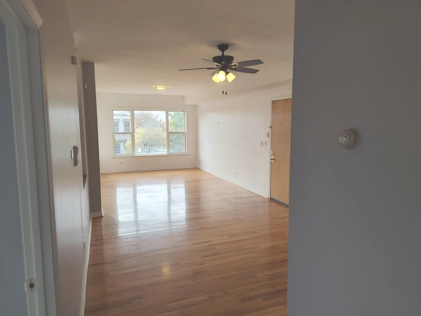 757 S Independence Boulevard 3S IL