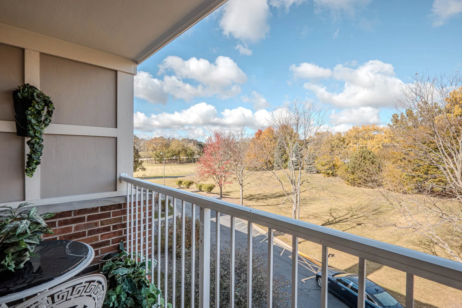 801 N Mclean Boulevard 316 IL