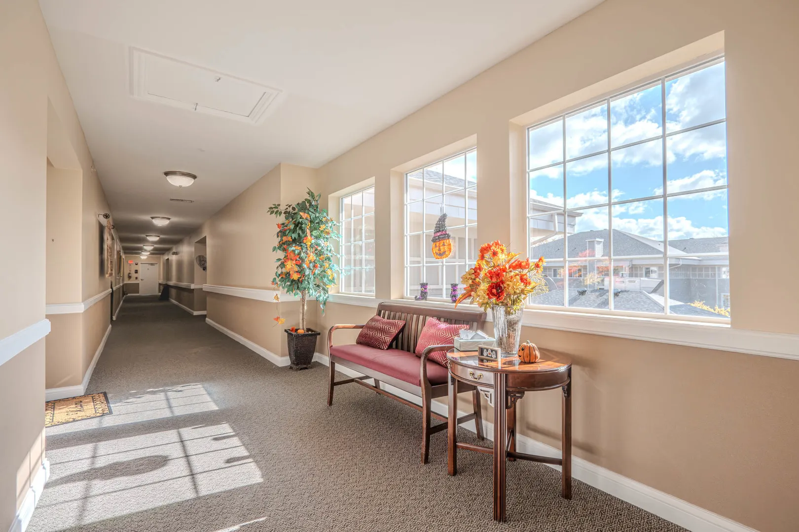 801 N Mclean Boulevard 316 IL