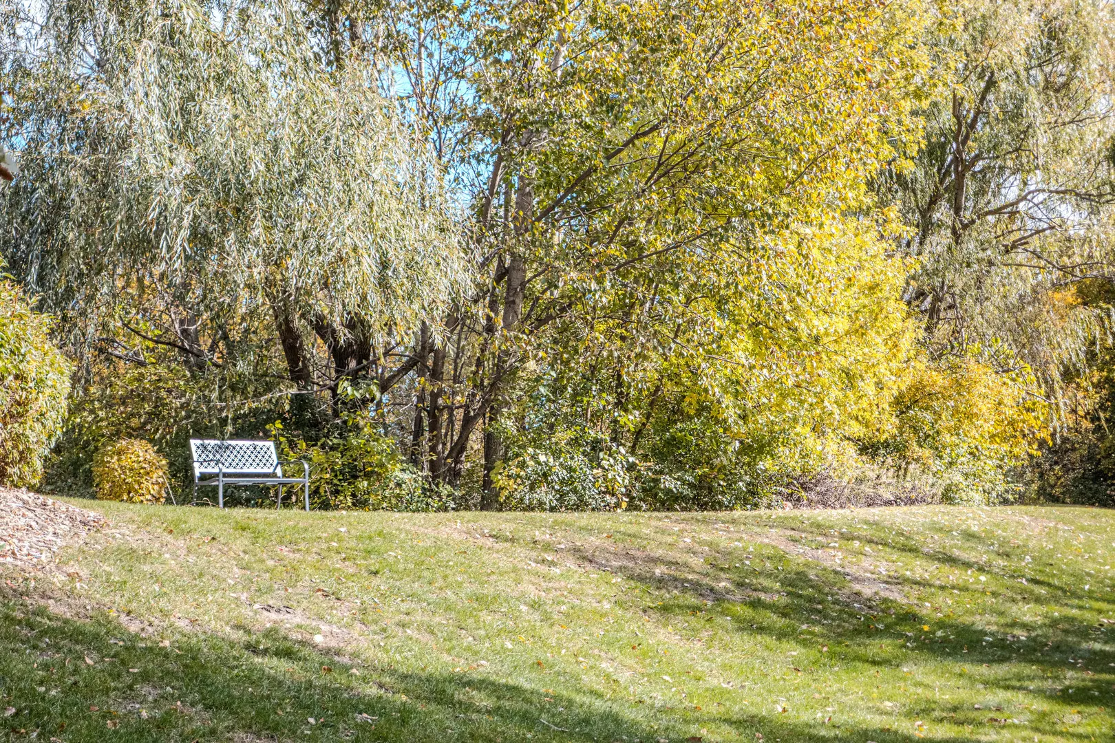 801 N Mclean Boulevard 316 IL