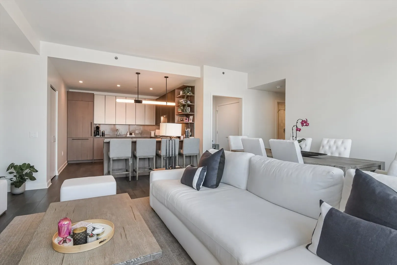 164 N Peoria Street 4004 IL