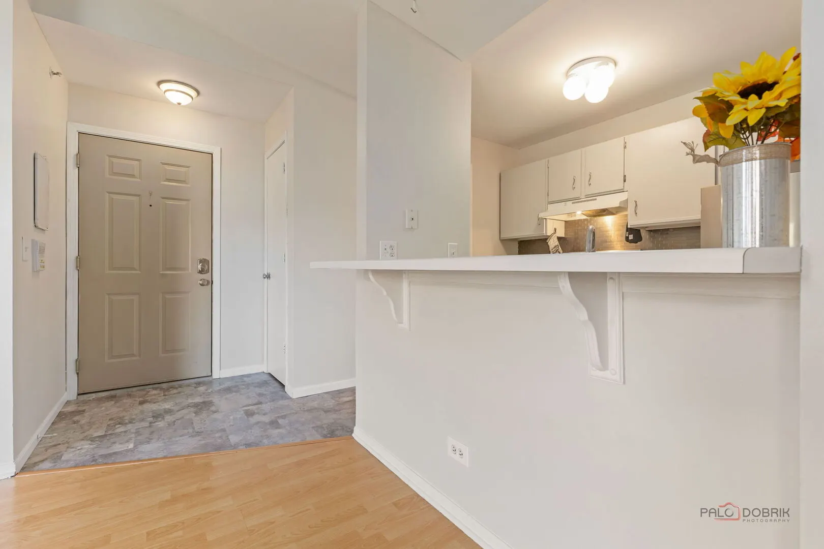 1506 Springbrook Court 2C IL