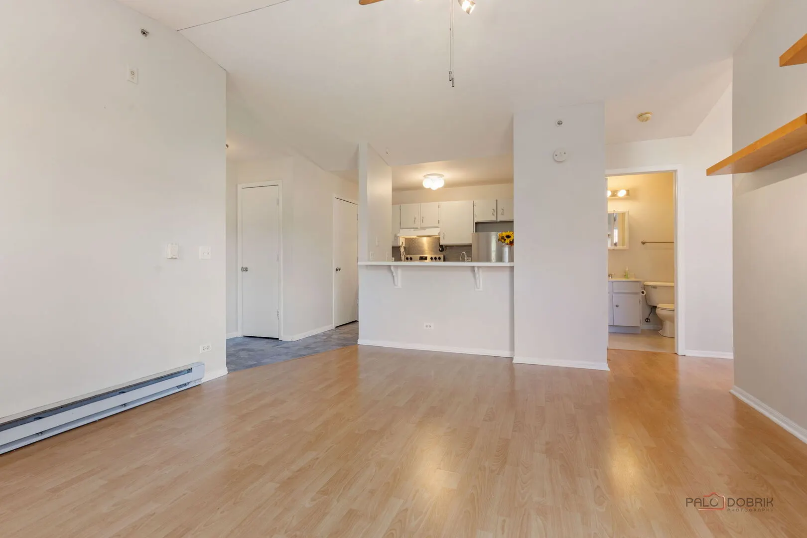 1506 Springbrook Court 2C IL