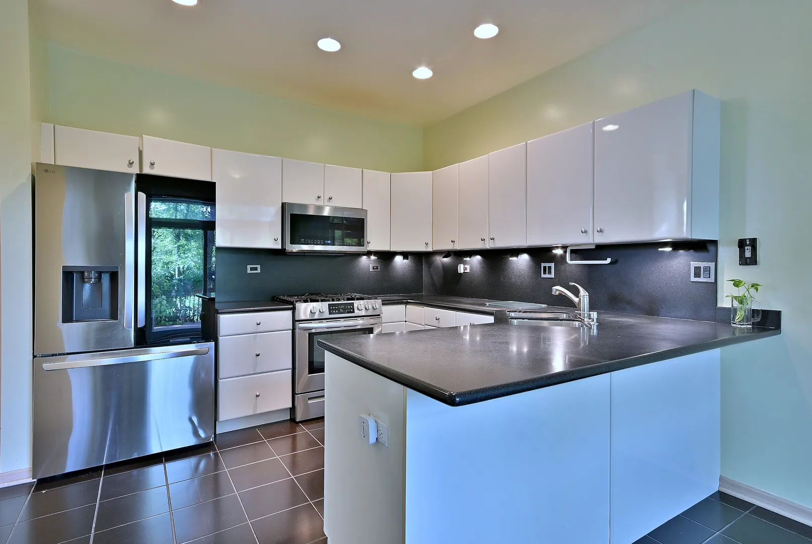 1735 Park Ridge Point IL