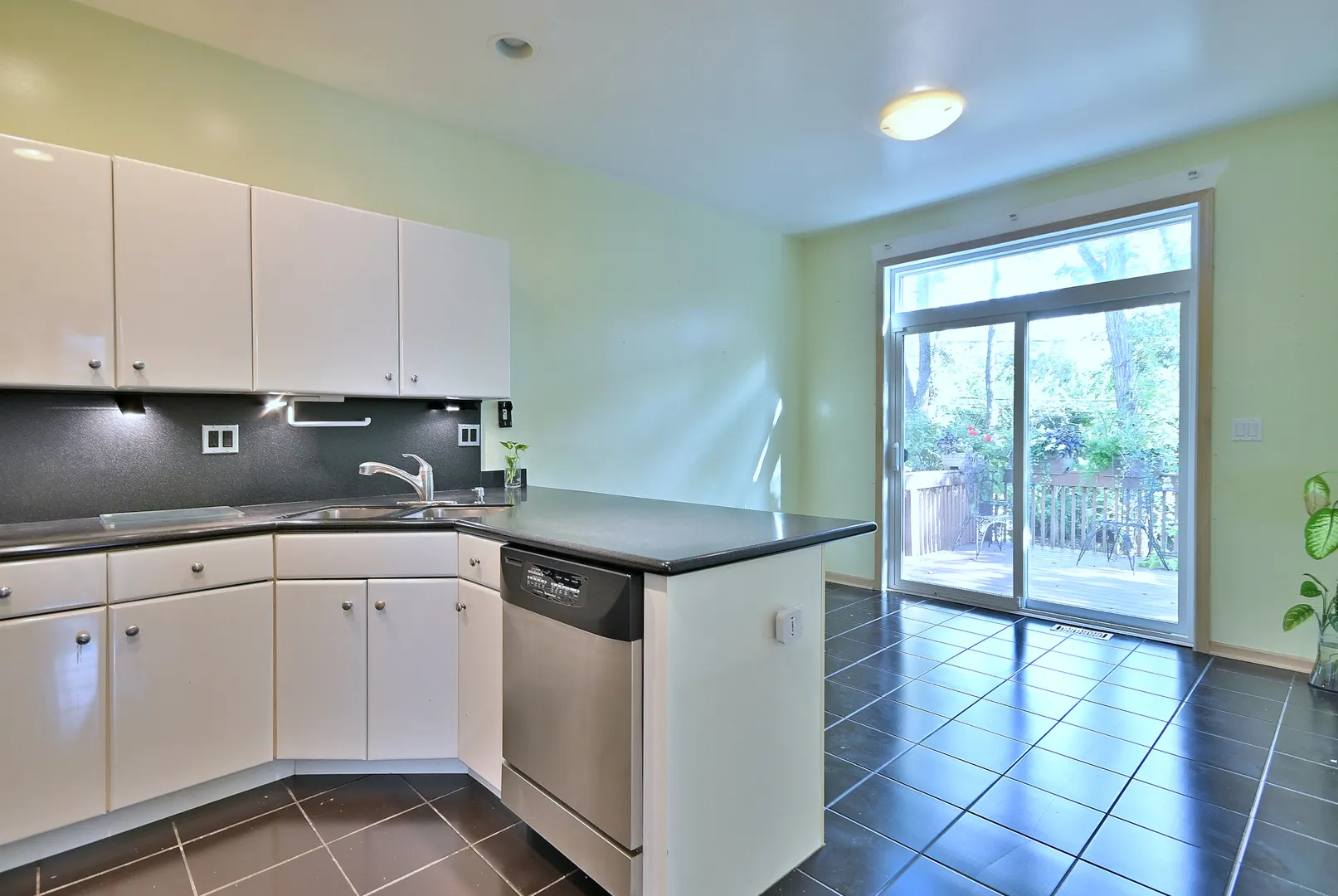 1735 Park Ridge Point IL