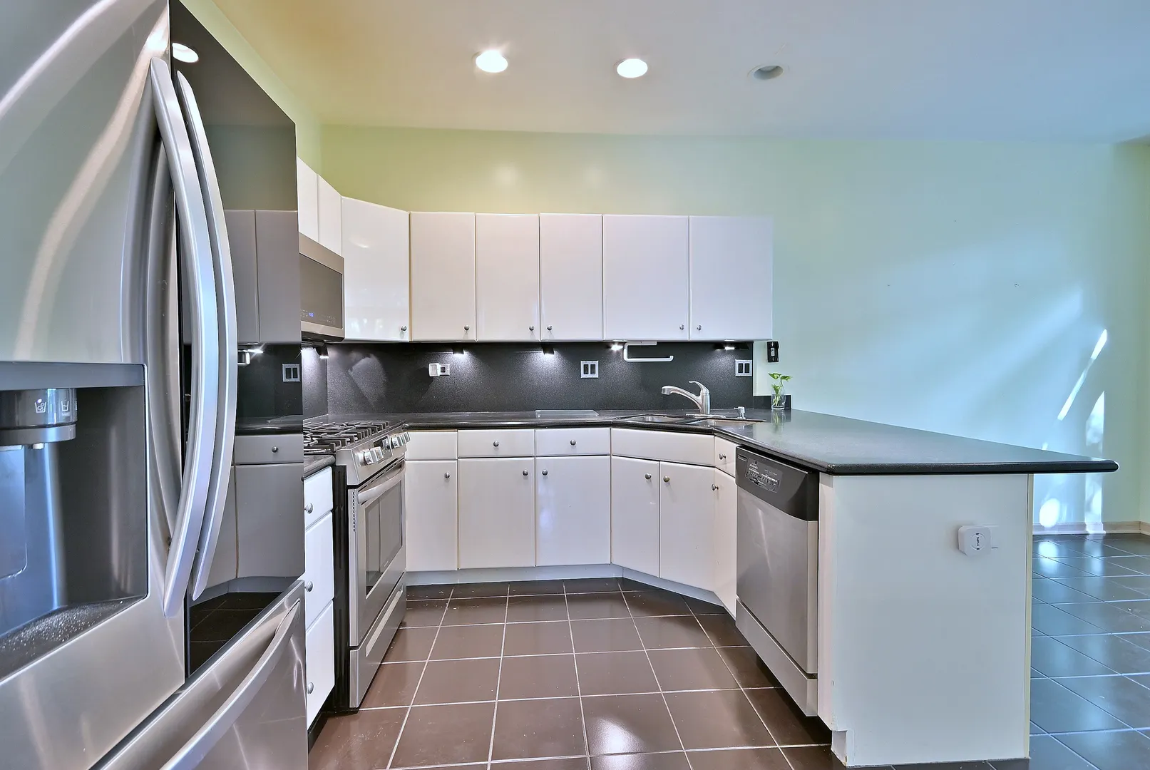 1735 Park Ridge Point IL