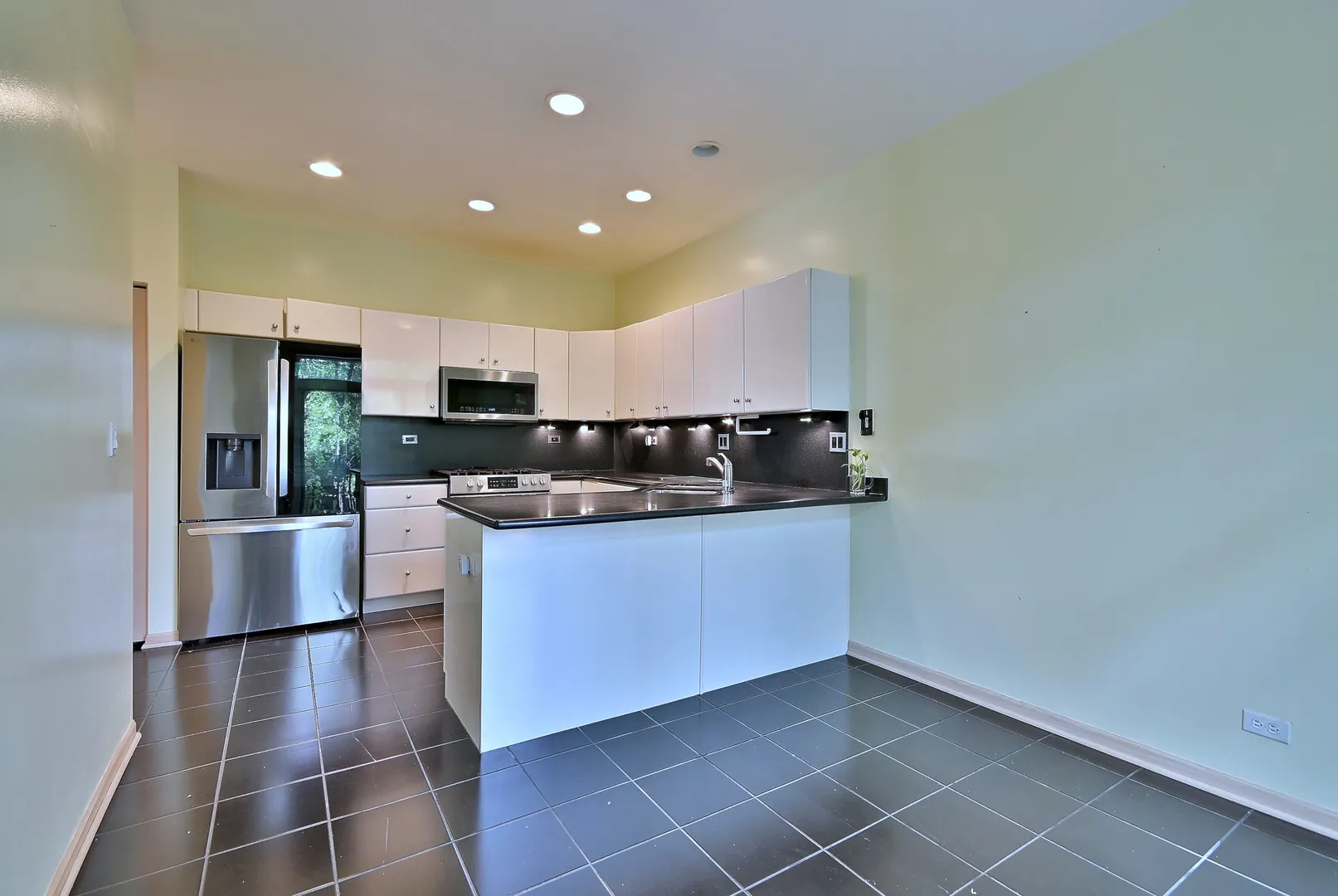 1735 Park Ridge Point IL