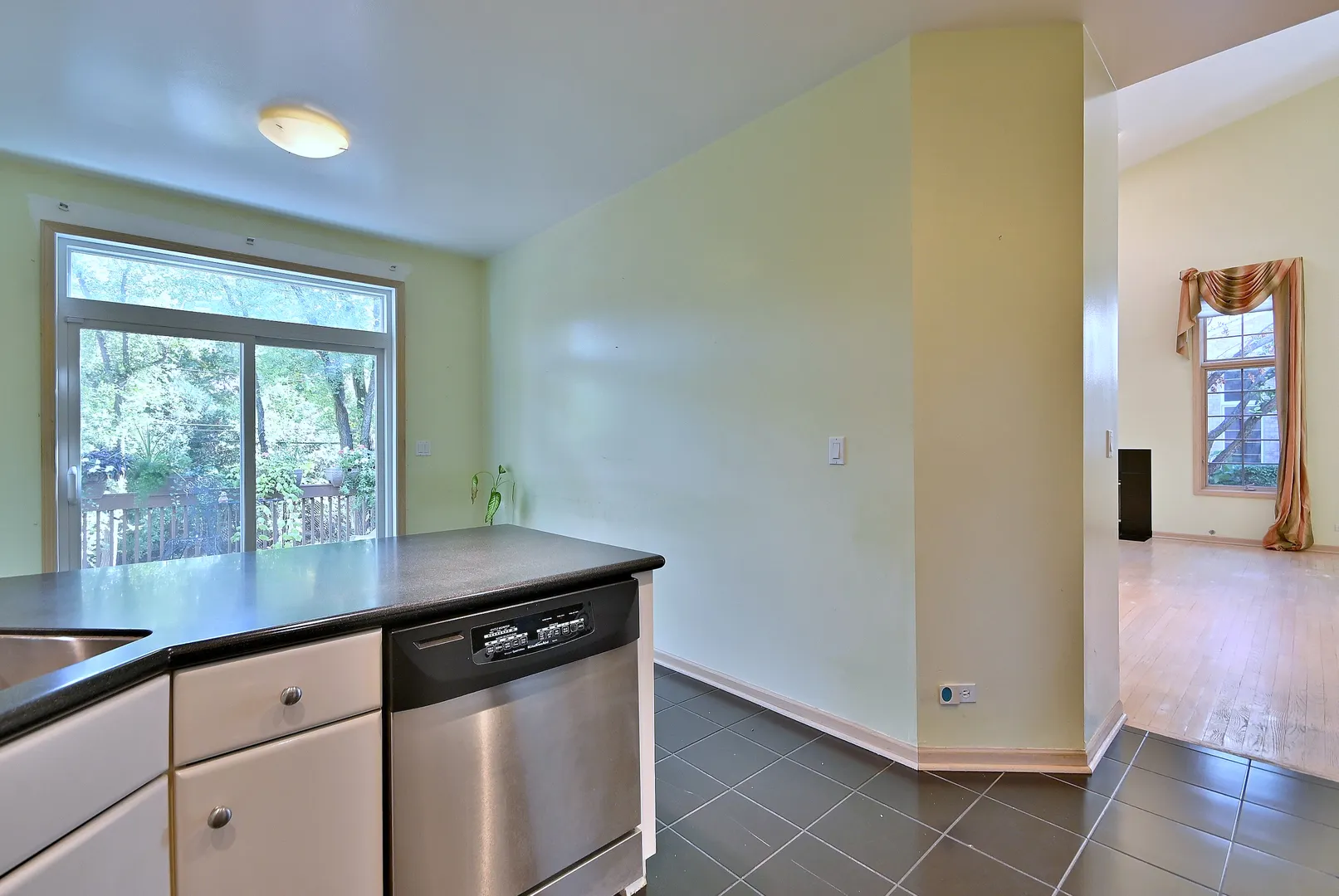 1735 Park Ridge Point IL