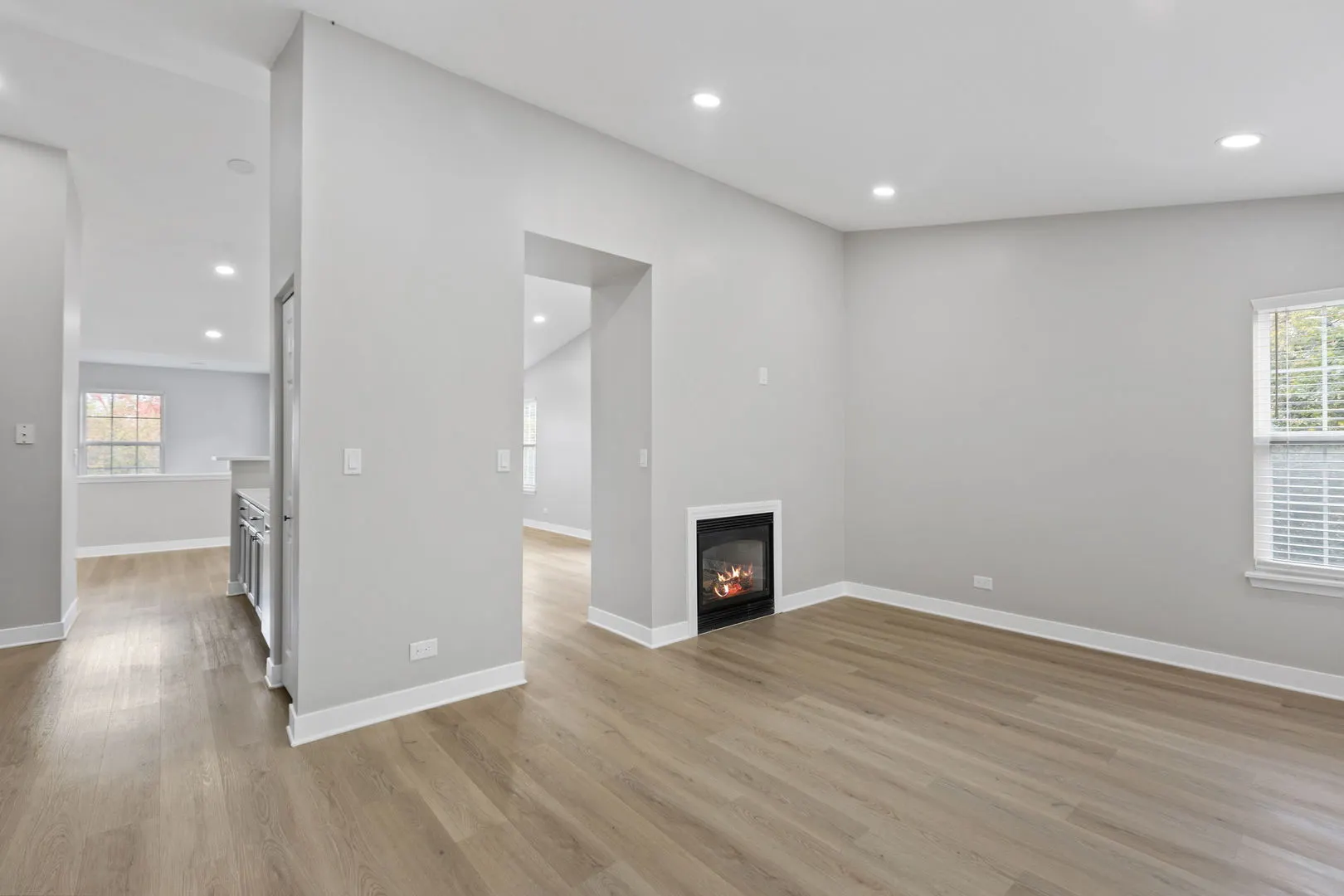 1203 Brookdale Drive IL