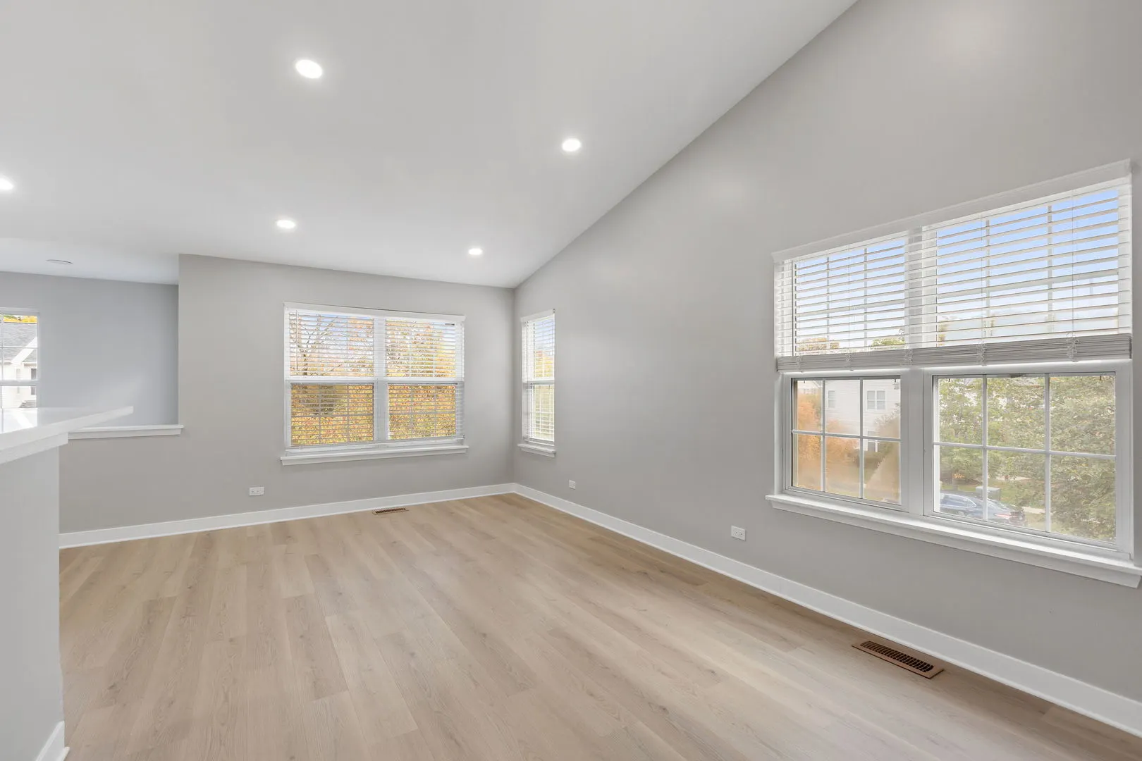 1203 Brookdale Drive IL