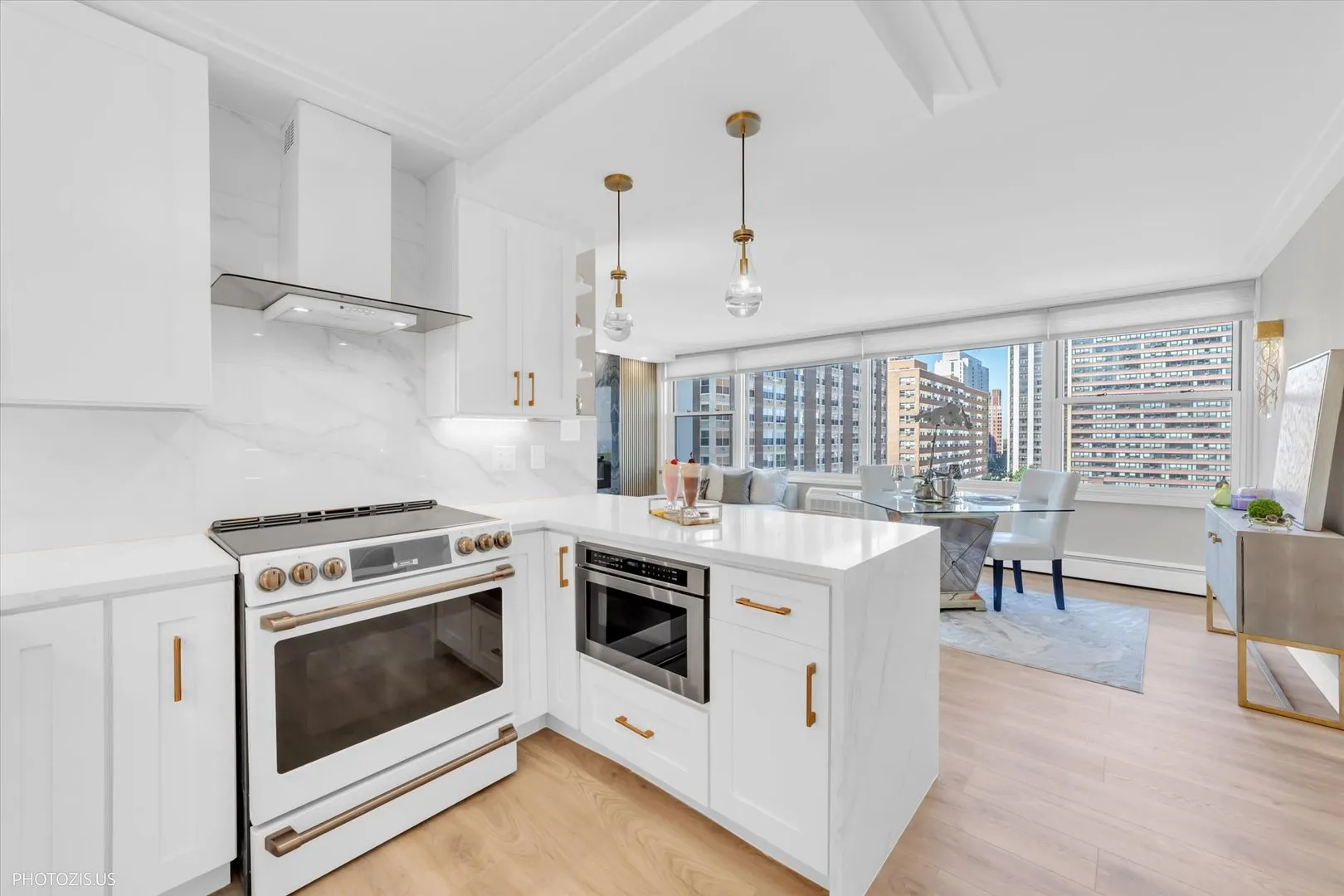 336 W Wellington Avenue 1002 IL