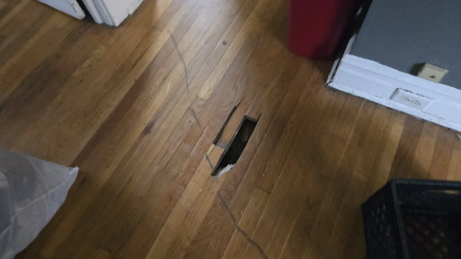 7430 S Luella Avenue IL