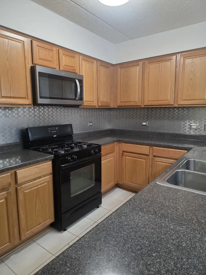 6559 W George Street 202 IL