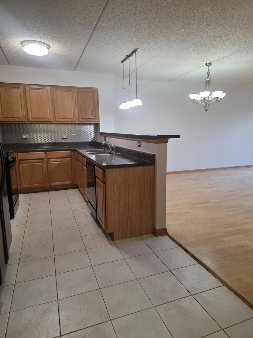 6559 W George Street 202 IL