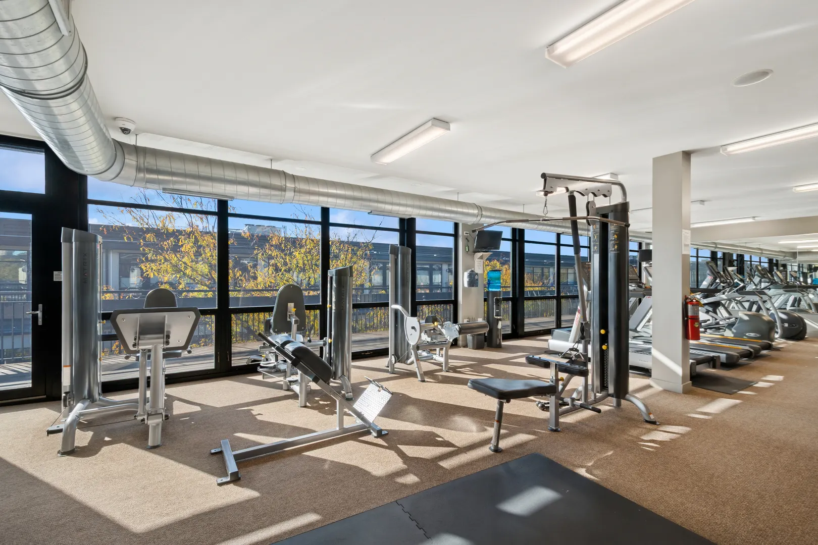 1151 W 14th Place 238 IL