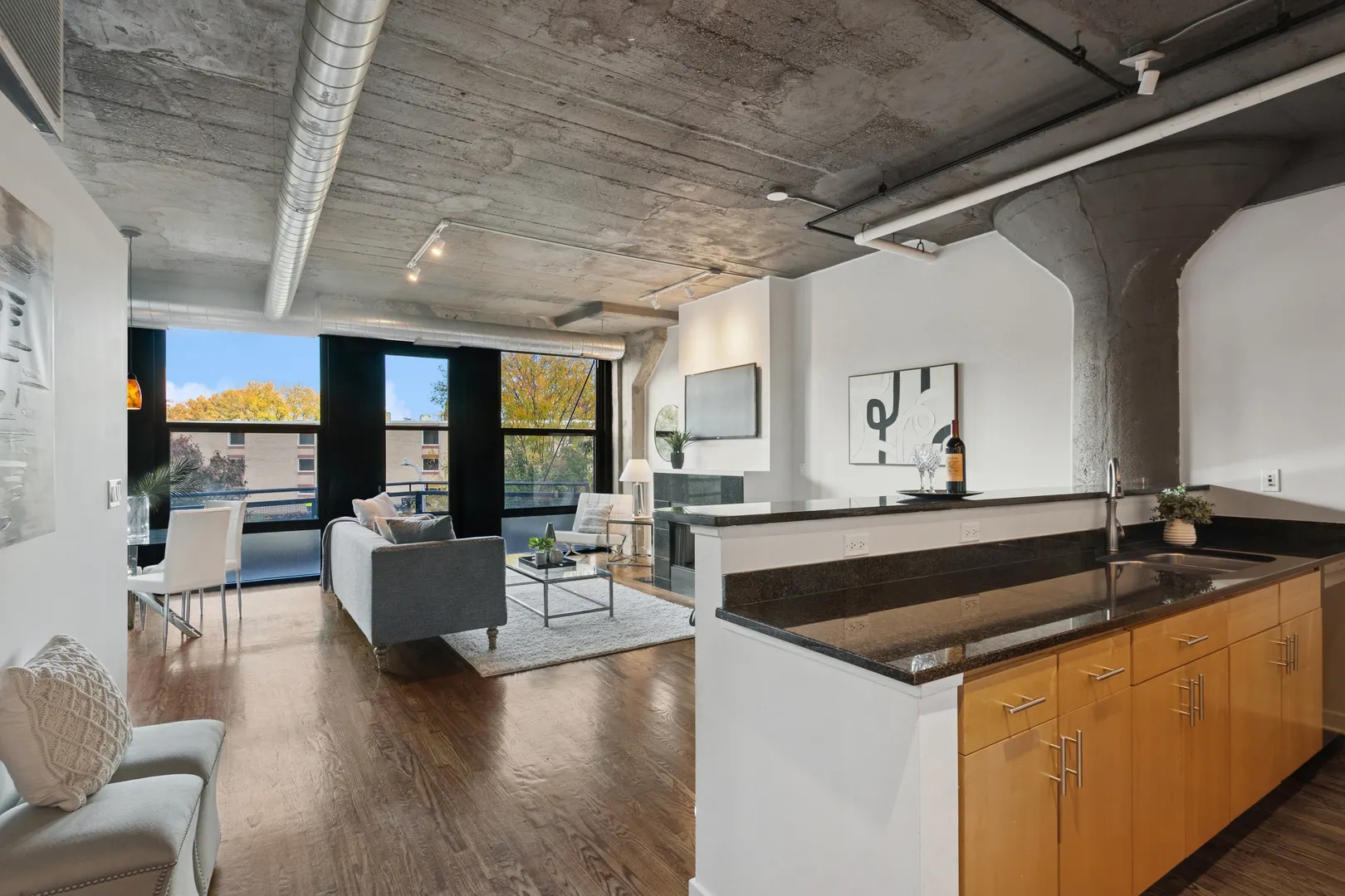 1151 W 14th Place 238 IL