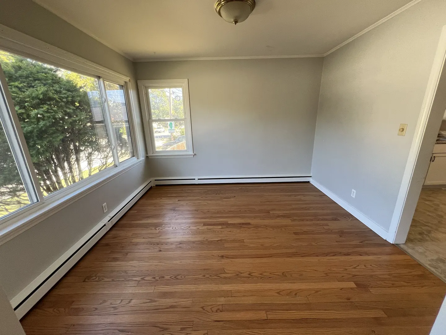 245 N Main Street IL