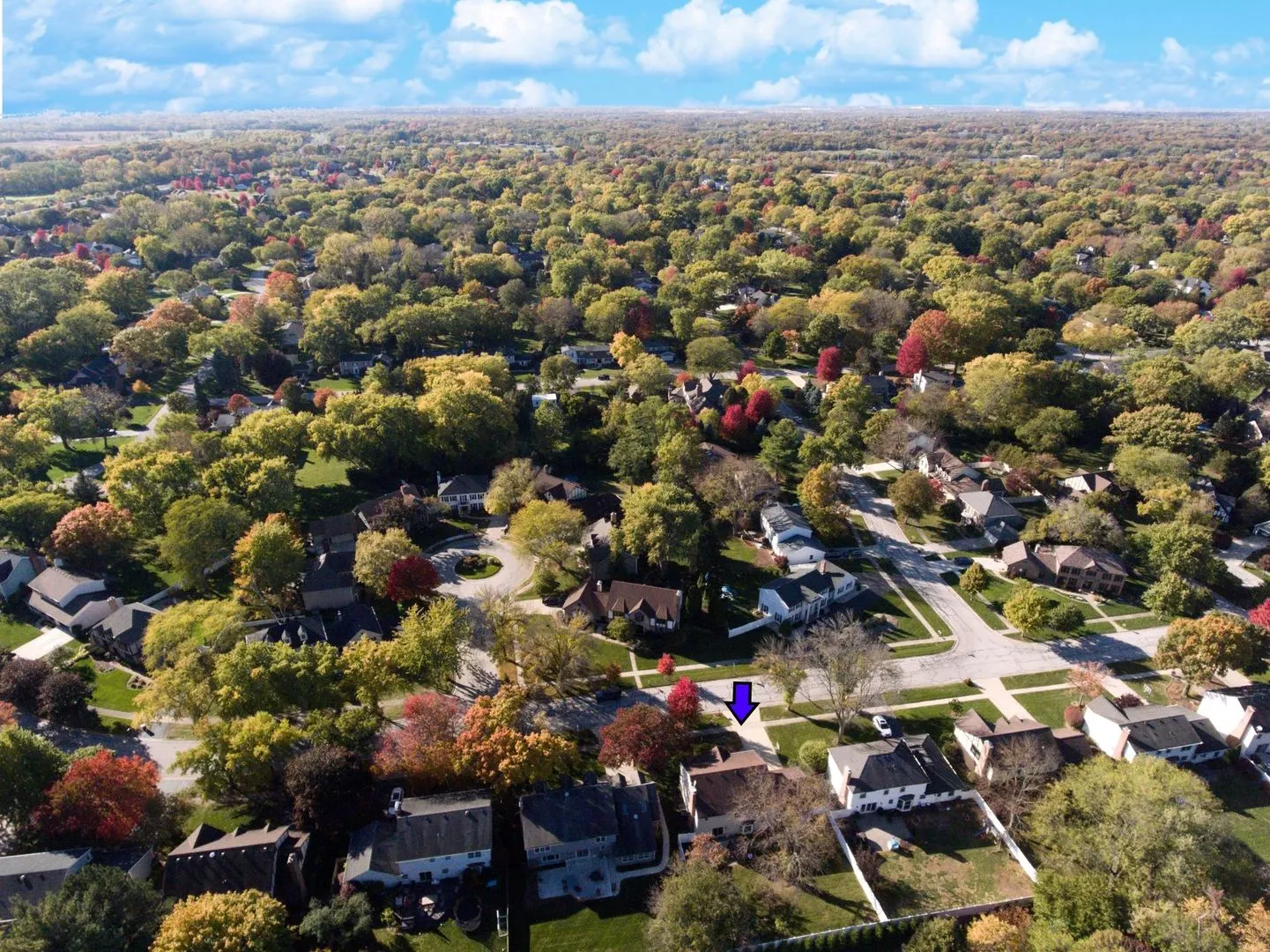 2S481 White Birch Lane IL